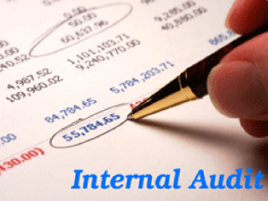 internal_audit1